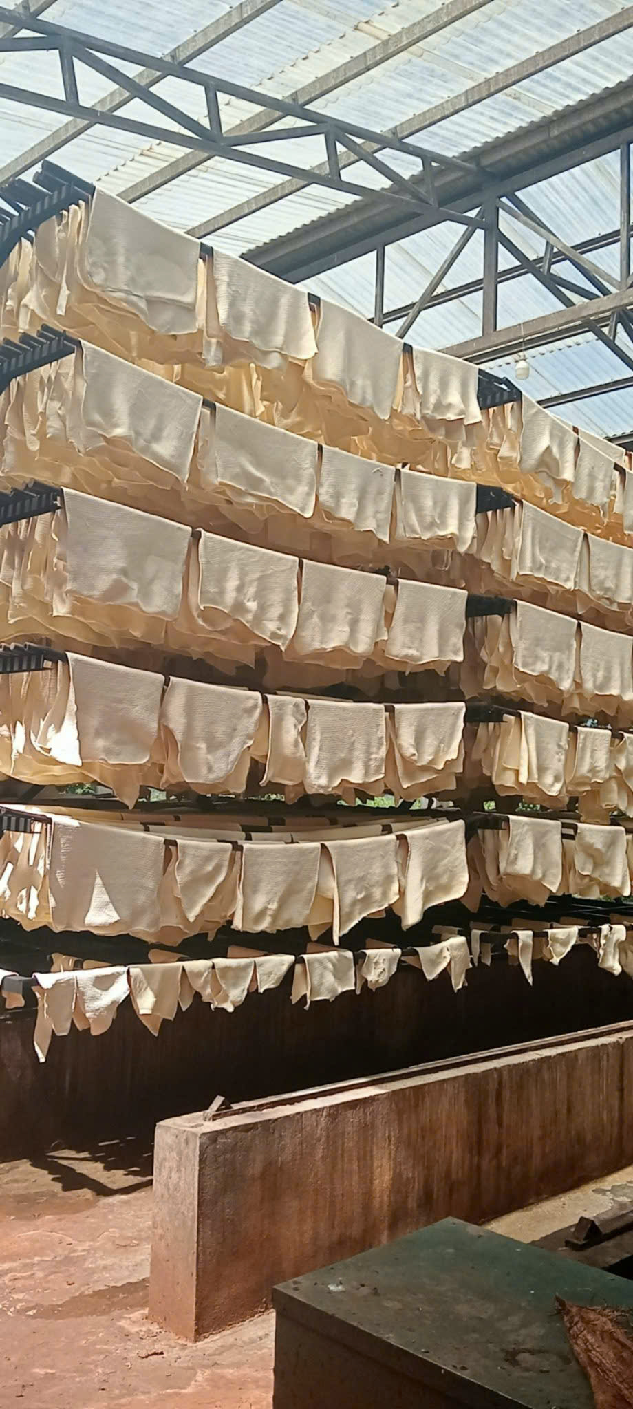Sheet & Latex